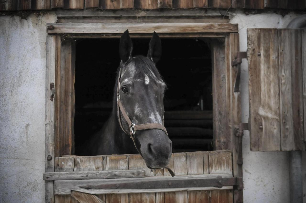 Ferienhof Metzler Bodnegg ภายนอก รูปภาพ