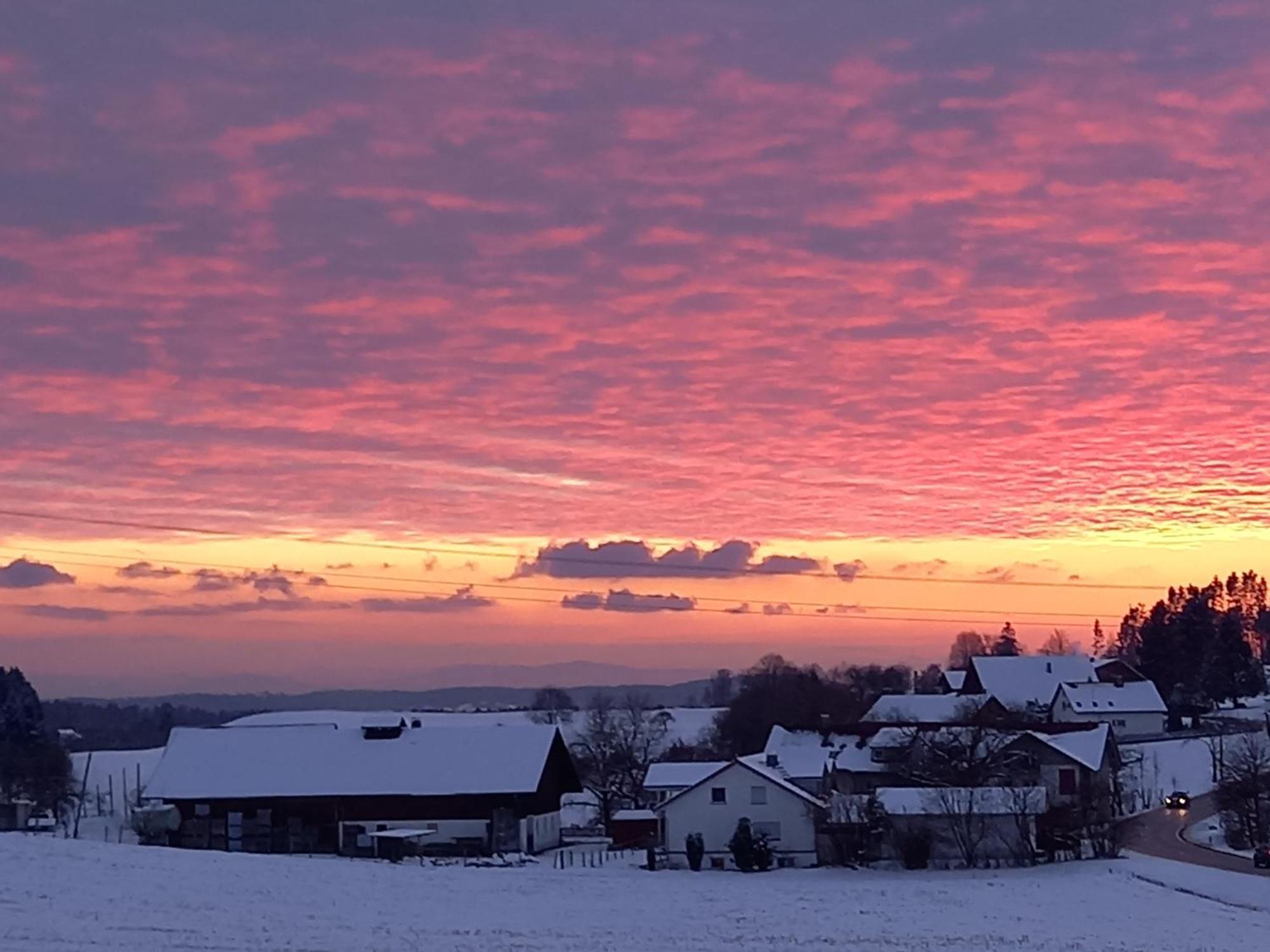 Ferienhof Metzler Bodnegg ภายนอก รูปภาพ