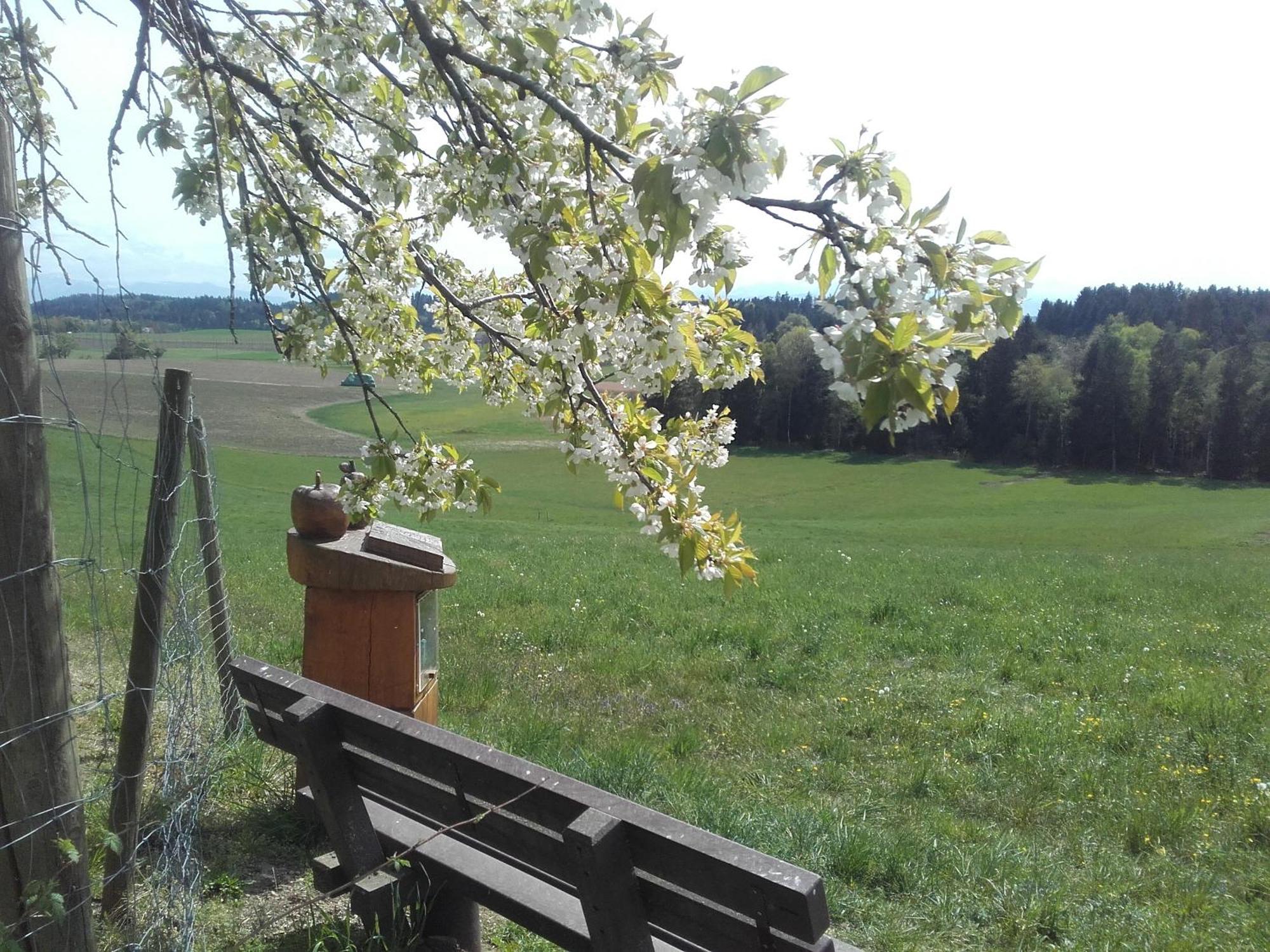 Ferienhof Metzler Bodnegg ภายนอก รูปภาพ