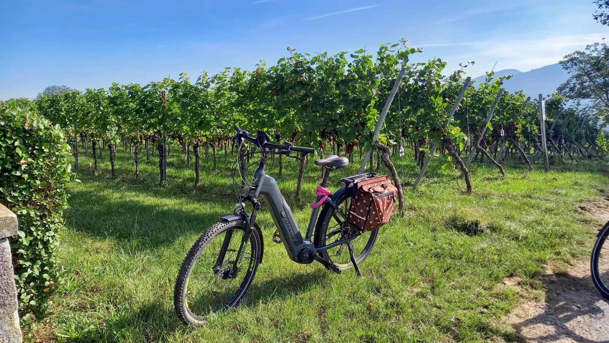 Ferienhof Metzler Bodnegg ภายนอก รูปภาพ