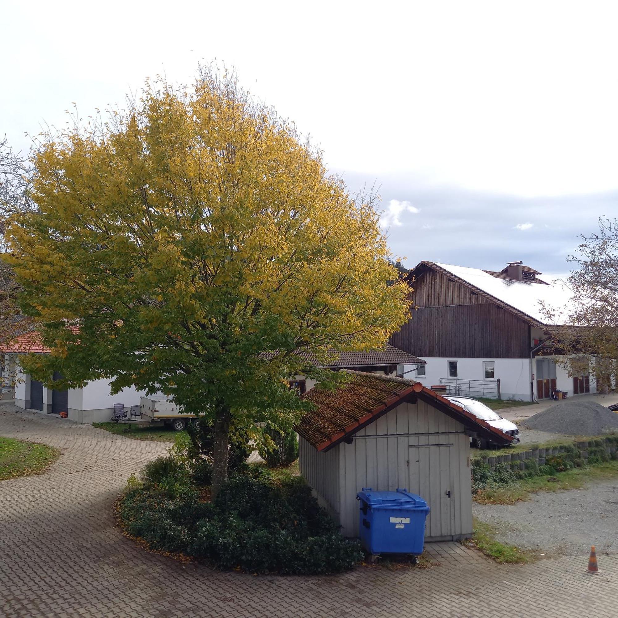Ferienhof Metzler Bodnegg ภายนอก รูปภาพ