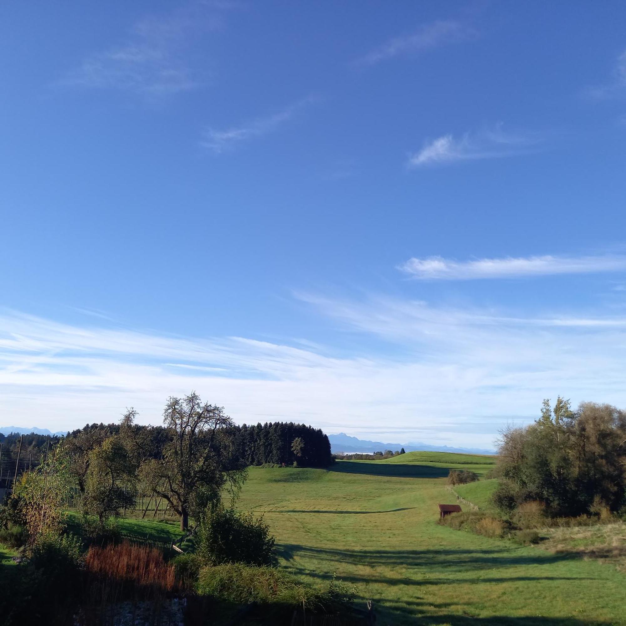 Ferienhof Metzler Bodnegg ภายนอก รูปภาพ